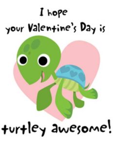 Valentine - Turtley Awesome